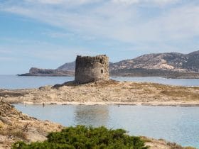 La Pelosa, Sardinien
