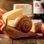 Aktuelle Einblicke: Die Slow Food Bewegung in Italien – Mehr als nur langsames Essen