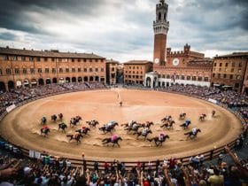 Palio di Siena: Das Herzschlag-Rennen der Toskana