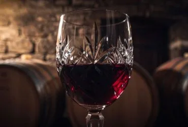 Barolo Wein: Neuigkeiten und Fakten zum König der Weine aus dem Piemont