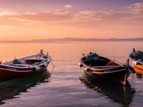 Fischer an der Adria: Einblicke in Tradition, Nachhaltigkeit und die Zukunft der Fischerei